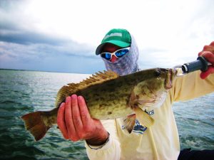 Seasonal fishing conditions in Miami, highlighting the best times for drift fishing